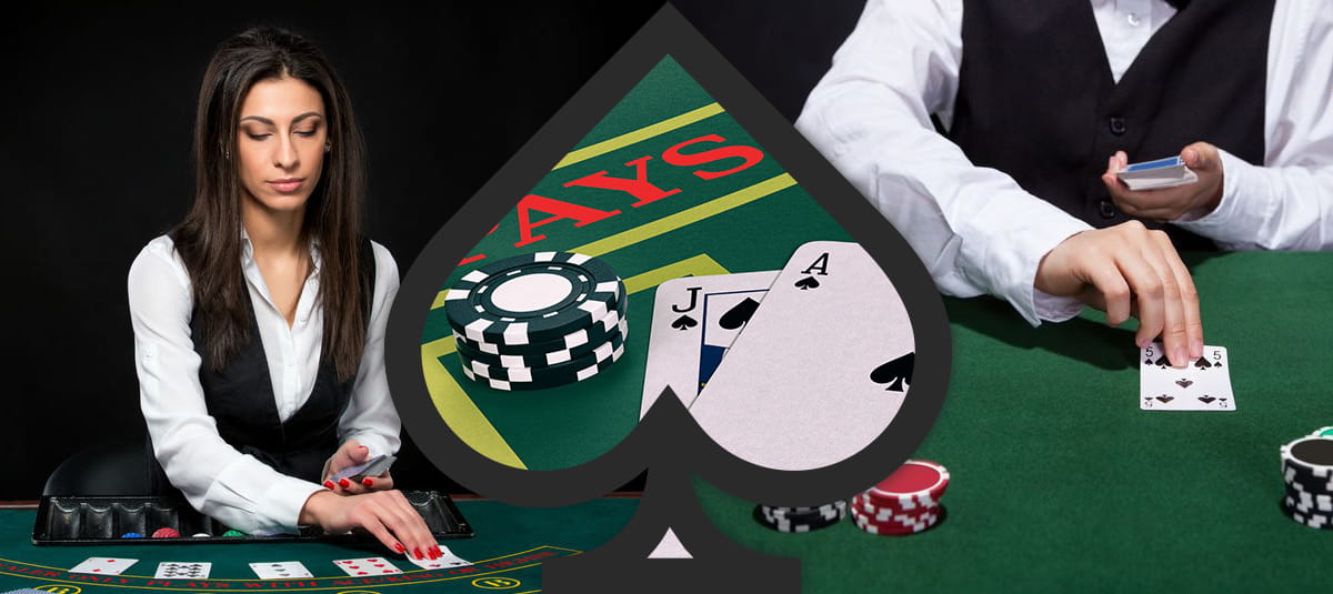 Hvis du ved, hvordan du kan forbedre dine odds, har du bedre chancer for at vinde på blackjack bordet